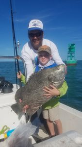 Tripletail catch with Captain John!